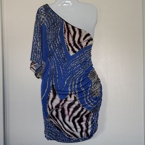 Zebra/Leopard print dress